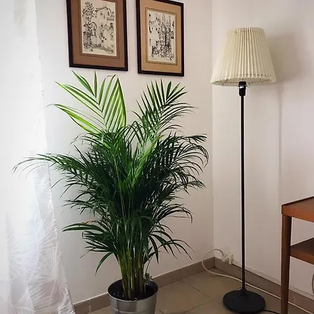 Apartamento St. Andrews *